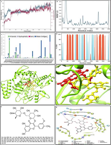 Molecular Docking Analyses And Md Simulation Analyses Of Scrutinized