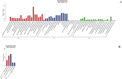 Go Functional Classification Of Differentially Expressed Genes A