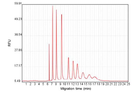 High Range RNA Ladder - High Range RNA Ladder