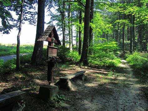 20110818 04 065 Jakobus Wald Rotes Kreuz Bernd Brang Flickr