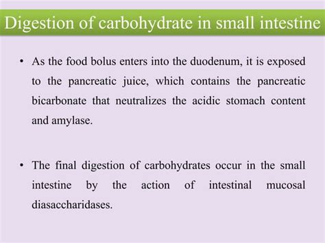 Carbohydrates Pptx