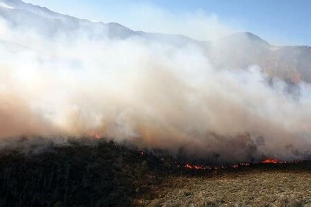 Coahuila Ya Tiene Declaratoria De Emergencia Por El Incendio De Arteaga