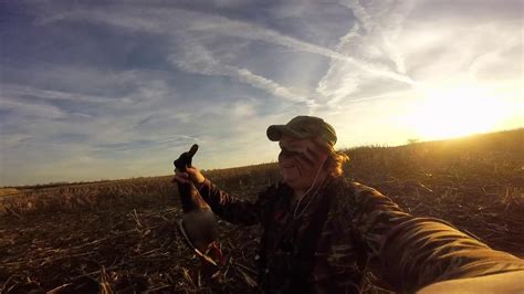 Warm Day Duck Hunt Public Land Duck Hunting Youtube