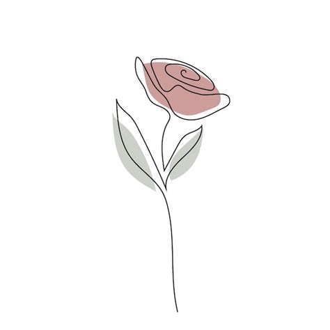 Premium Vector Rose Flower Line Art Contour Drawing Minimalism Art