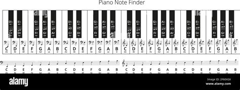 Piano Keys Solfege Note Finder Treble And Bass Clef Vector Chart Noms De Notes De Musique