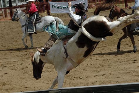 Gallery - New Zealand Rodeo Cowboys Association | Official Website