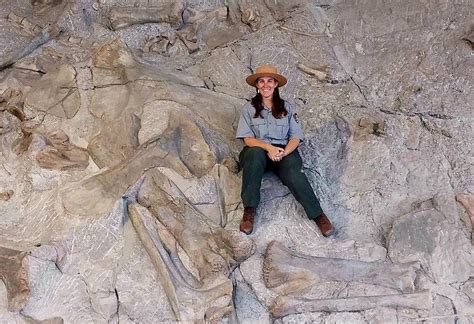 Hundreds Of Majestic Dinosaur Fossils Were Discovered In The 30 Meter High Stone Wall More Than