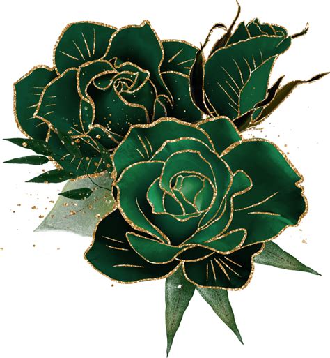 Top Green Rose Images Amazing Collection Green Rose Images Full K