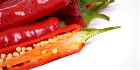 How To Grow Chili Peppers From Store Bought Produce Chili Growing