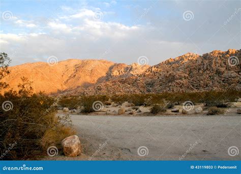 Desert Afternoon Stock Image Image Of Desert National 43119803