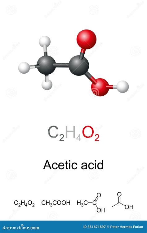Acetic Acid Ethanoic Acid Molecule Model And Chemical Structure Stock