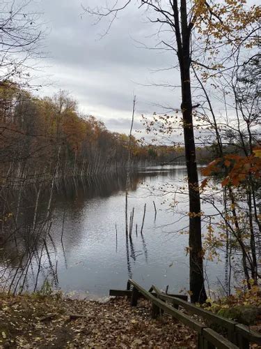 Best Hikes and Trails in Langlade County Forest | AllTrails