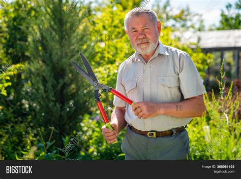 Elderly Man Gardener Image And Photo Free Trial Bigstock