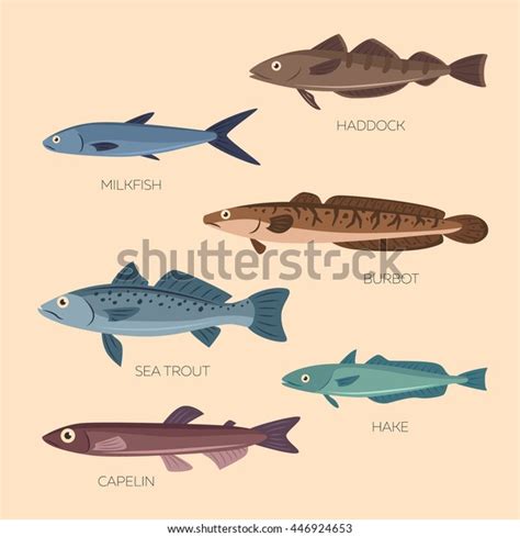 Milkfish Cartoon Over Royalty Free Licensable Stock Illustrations