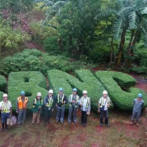 News Coral Bay Nickel Corporation