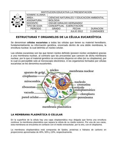 PDF ESTRUCTURAS Y ORGANELOS DE LA CÉLULA El proceso de oxidación