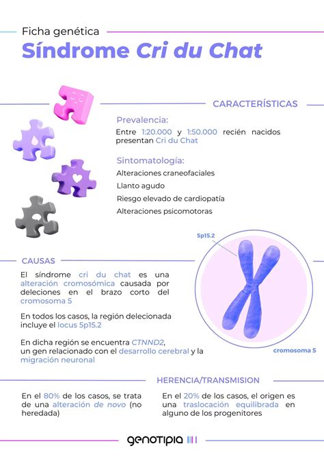 Sindrome De Cri Du Chat Caracteristicas Revoeduca