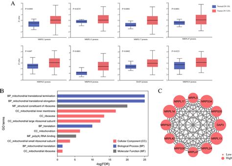 Proteomic And Functional Analysis Of Mrps In Breast Cancer A