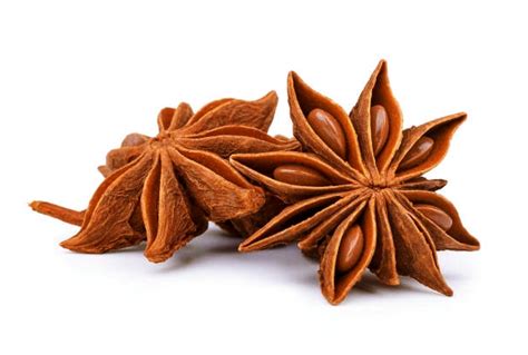 What Is Star Anise And How To Use It Krazy Butterfly