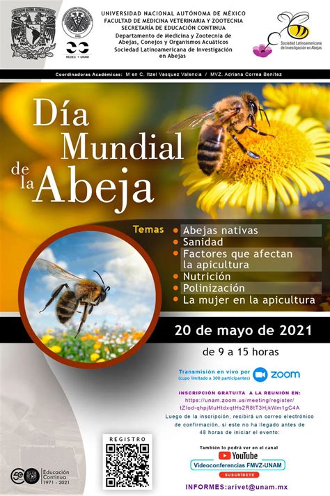 🐝 20 De Mayo Día Mundial De Las Abejas Solatina 🐝