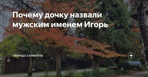 Почему дочку назвали мужским именем Игорь | Принцесса мапуче | Дзен