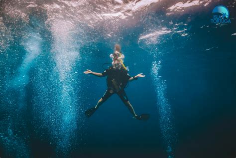 Asi De Divertido Es Estar Bajo El Mar Https Islatortugadivers