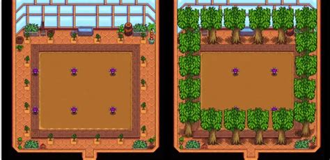 Stardew Valley Greenhouse Guide Layoutbest Crops And Trees