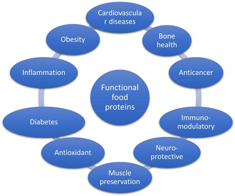 The Functional Roles Of Proteins In Foods