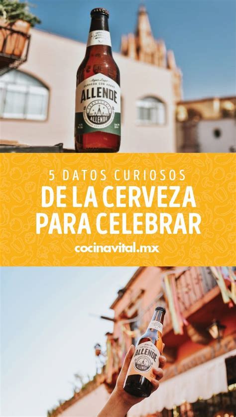 Datos Curiosos De La Cerveza Para Celebrar Su D A Cerveza Historia