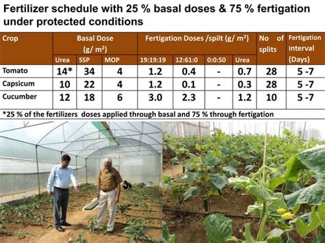 Efficient Irrigation And Fertigation In Polyhouse PPT