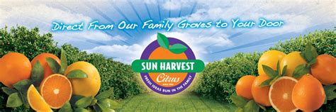 Sun Harvest Citrus in Fort Myers | VISIT FLORIDA