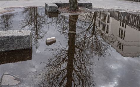 Pappeln Am Moritzhof Abschied Und Neuanfang Freunde Des Mauerparks E V