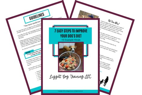 Raw Feeding Dog Guide | 7 Easy Steps to Improve Your Dog’s Diet