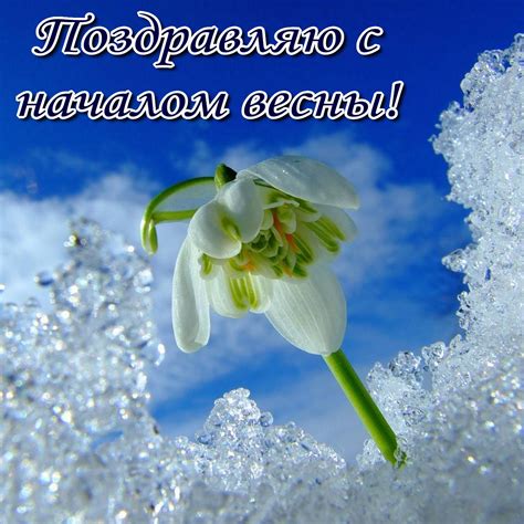 Открытка с первым днем весны - подснежник на фоне весеннего неба