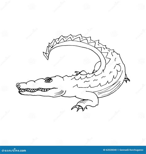 Hand Draw a Crocodile-style Sketch on a Black and Stock Vector - Illustration of alligator, line ...