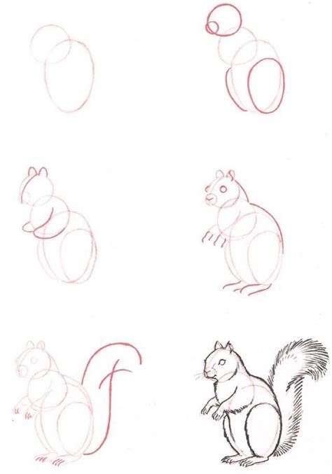 40 Free & Easy Animal Sketch Drawing Ideas & Inspiration - Brighter ...