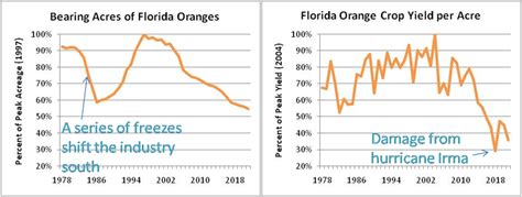 Citrus Greening Crisis How Genetically Engineered Tools And Other Strategies Might Prevent