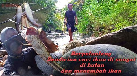 Berpetualang Sendirian Mencari Ikan Di Sungai Dalam Hutan YouTube