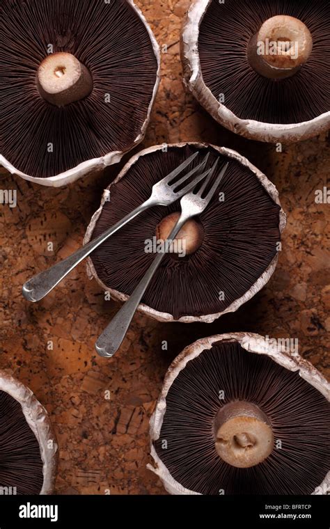 Portabello Mushroom Fungi Food Fungus Edible Vegetable Large Flat Row