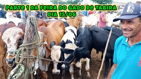 Feira do Gado em Tabira PE só os Bois de carros e as Pareas no pátio