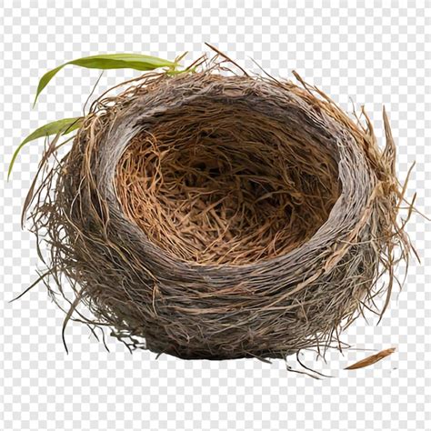 Premium PSD Bird Nest Png Isolated On Transparent Background Premium Psd