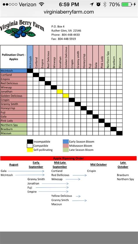 Apple Tree Cross Pollination Chart