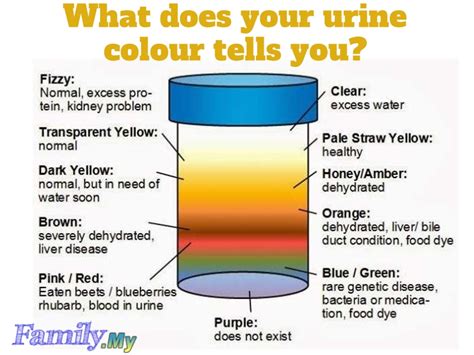 Liver Damage Urine Color