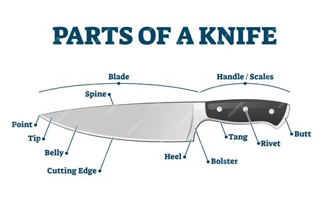 Premium Vector | Parts of kitchen knife with labeled structure