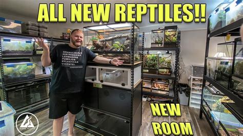 All New Reptile Room Tour December 2020 Youtube