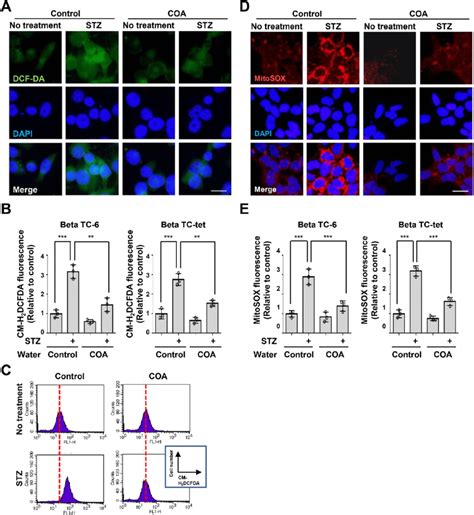 Stz Induced Ros Generation In Beta Cells Is Blocked By Natural Coa