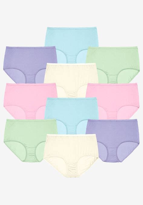 10 Pack Nylon Full Cut Brief Woman Within