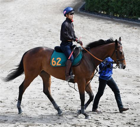 モーリス産駒エリカエスティーム、3頭併せ先着 宮田師「素質はかなりある」／新馬戦 2歳馬特集 競馬写真ニュース 日刊スポーツ