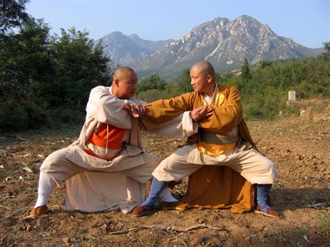 Kuoshu Net Archivio Approfondimenti Kung Fu Tai Chi Sanda