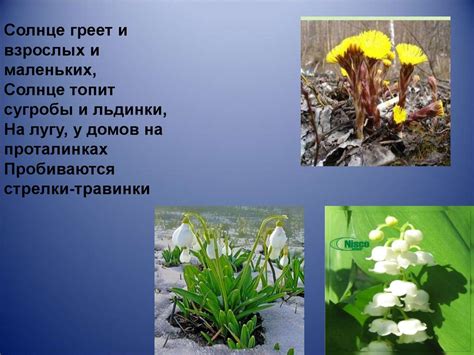 Времена года. Весна - презентация онлайн